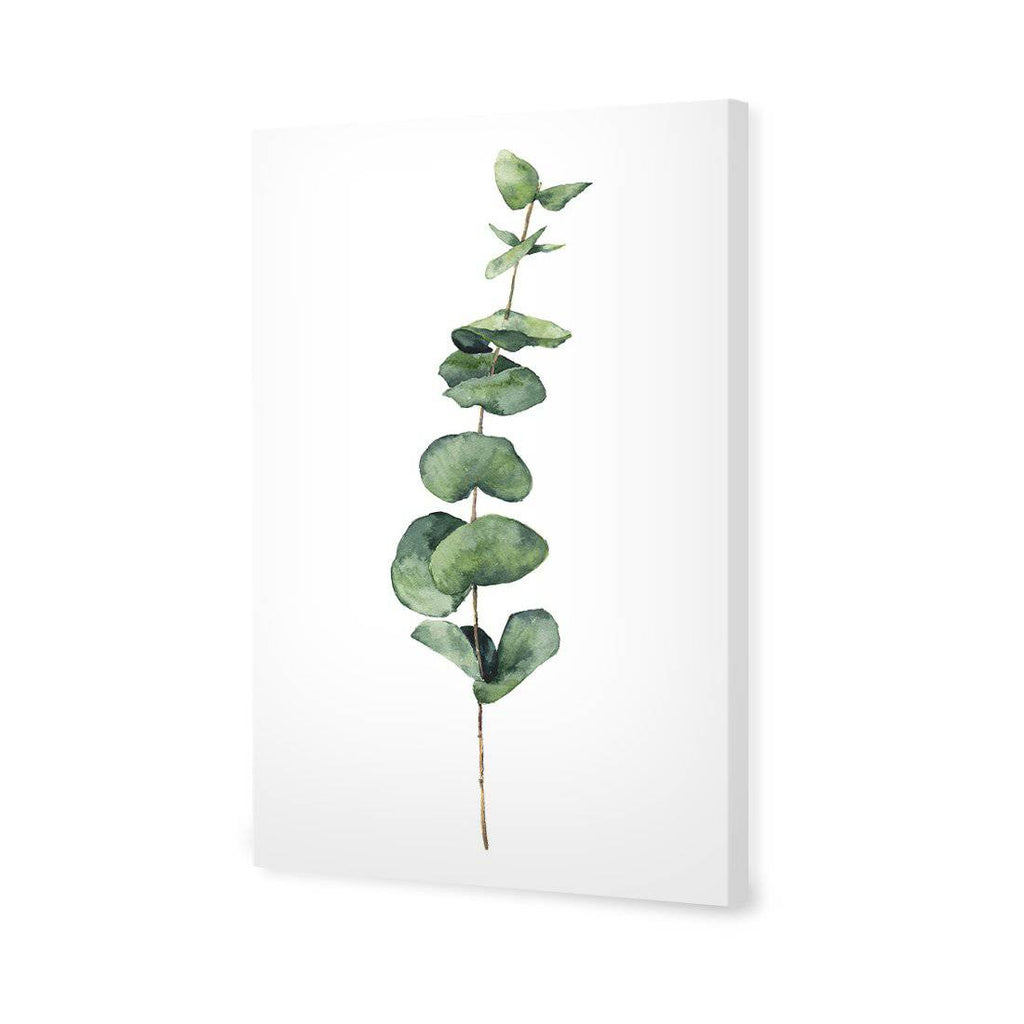 Fragrant Herb 2 Canvas Art