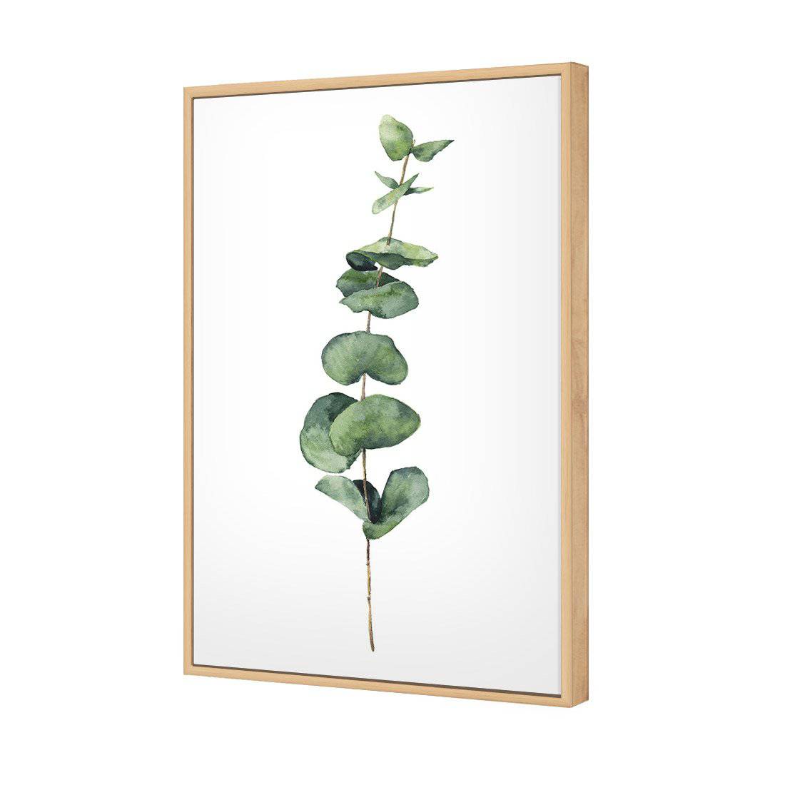 Fragrant Herb 2 Canvas Art