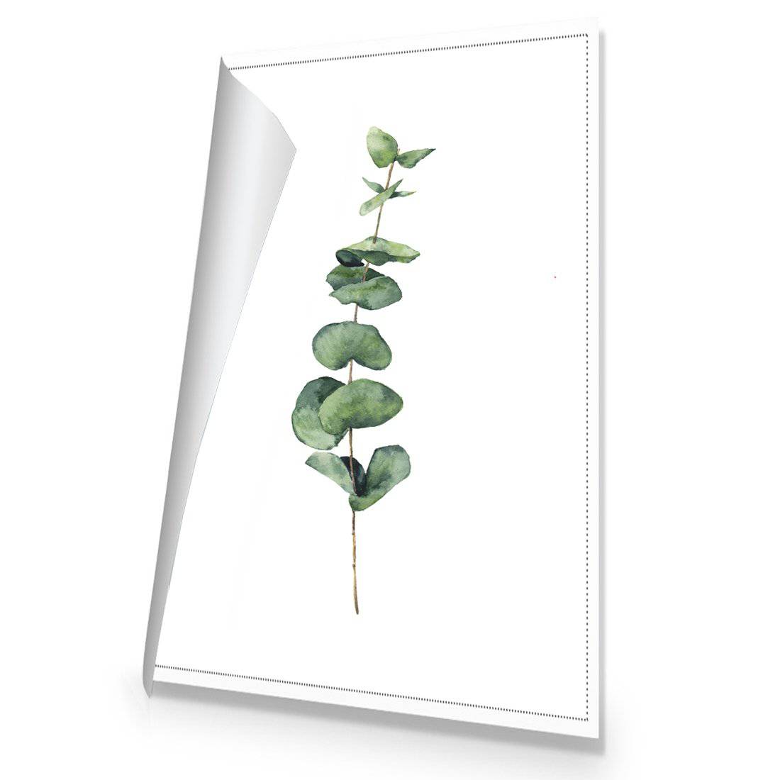 Fragrant Herb 2 Canvas Art