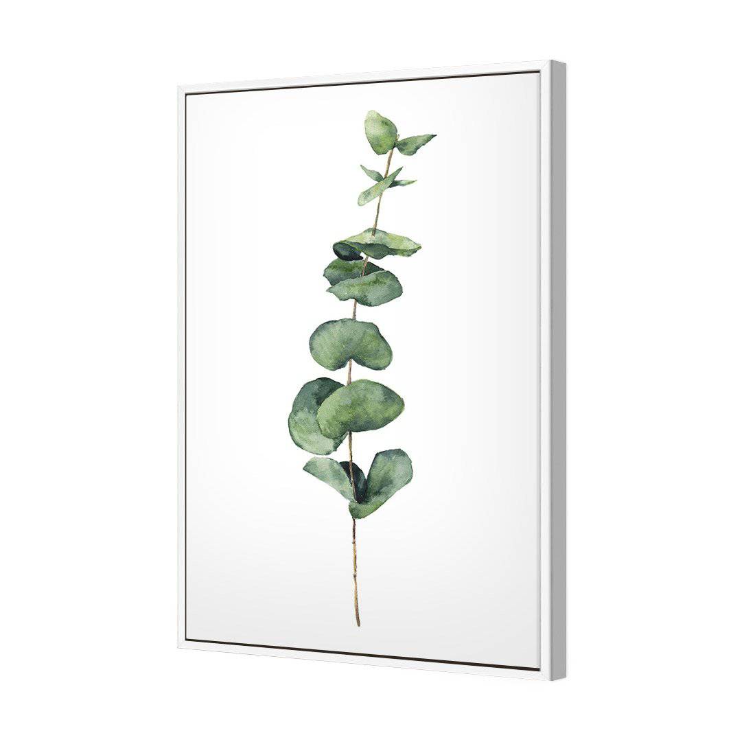 Fragrant Herb 2 Canvas Art