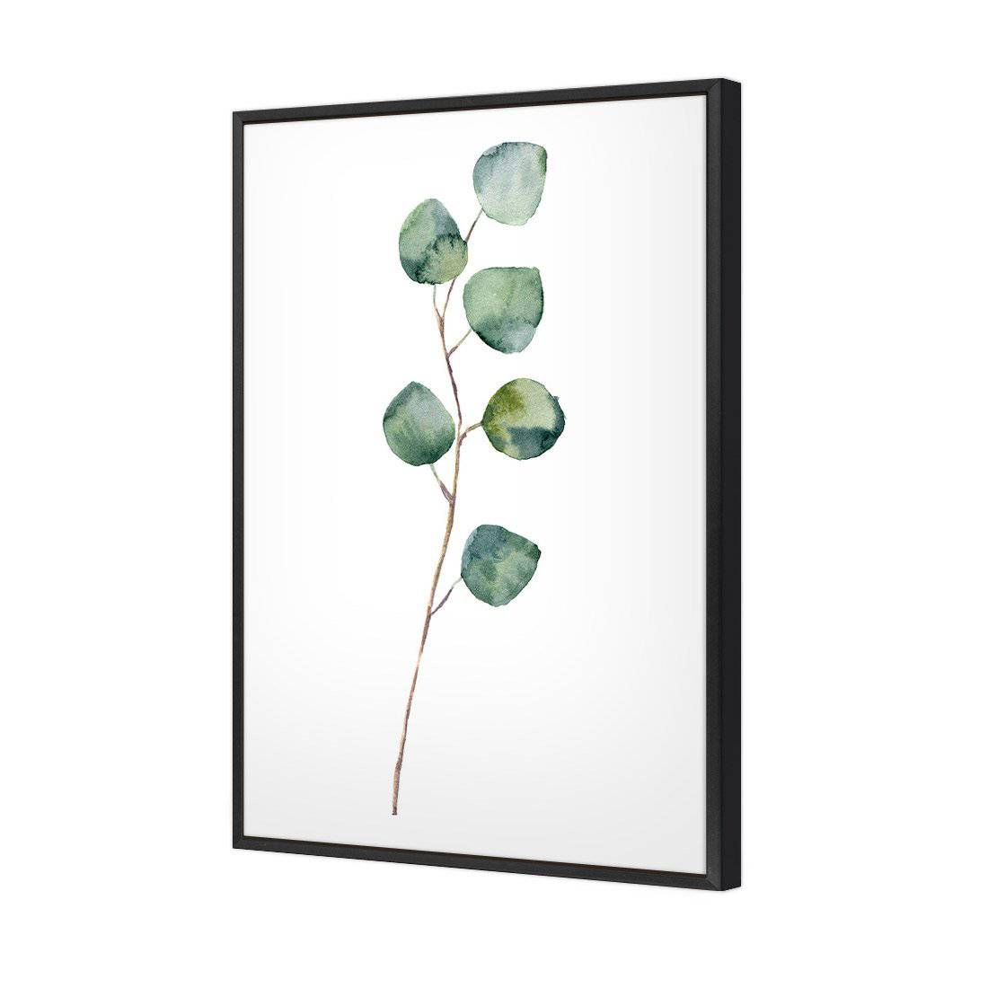 Fragrant Herb 3 Canvas Art