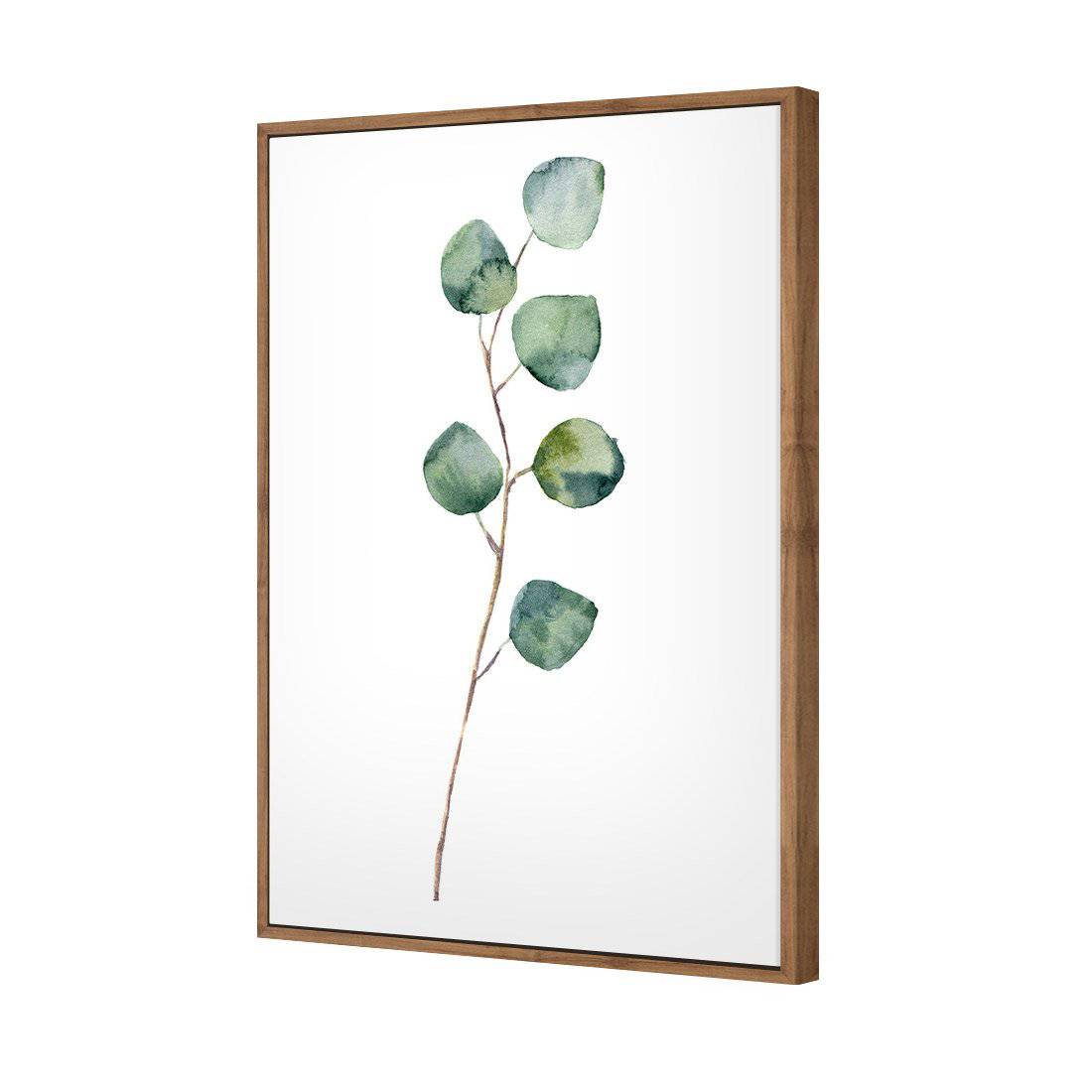 Fragrant Herb 3 Canvas Art