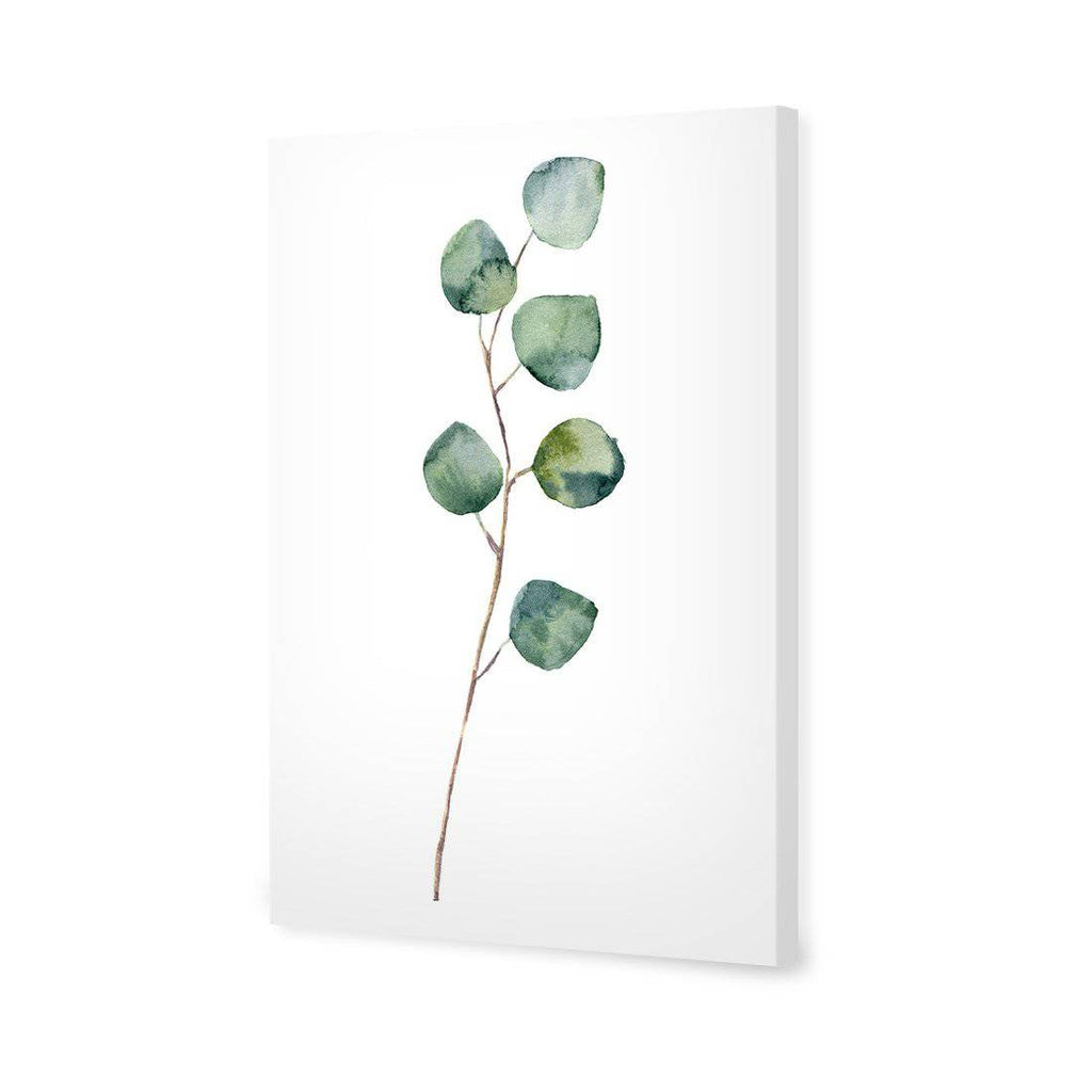 Fragrant Herb 3 Canvas Art
