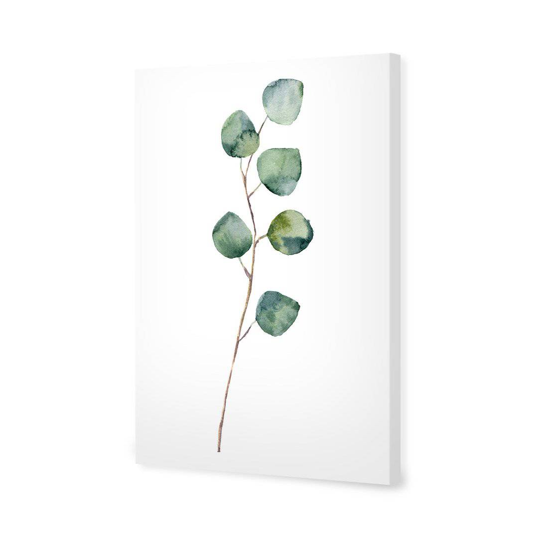 Fragrant Herb 3 Canvas Art