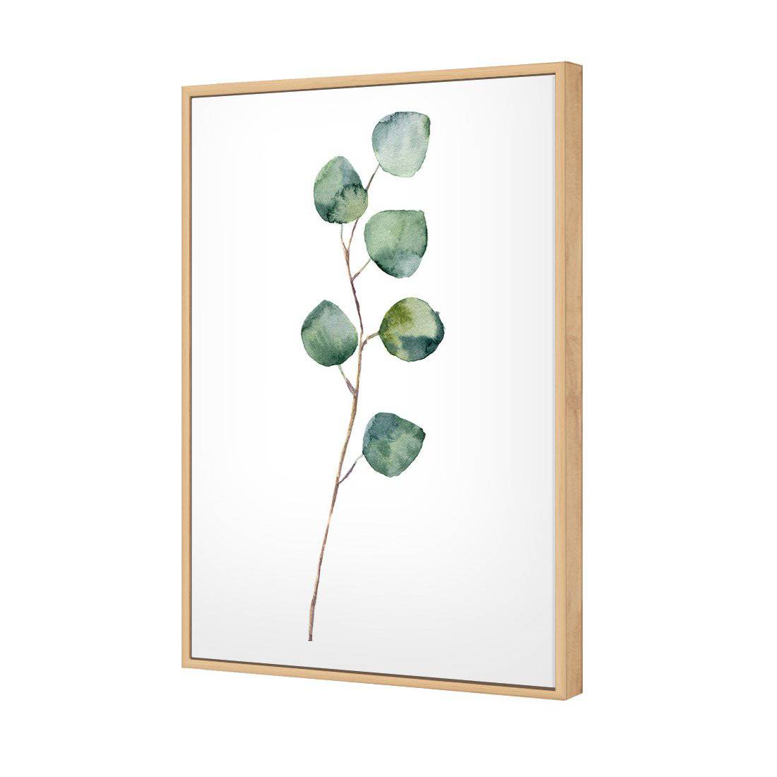 Fragrant Herb 3 Canvas Art