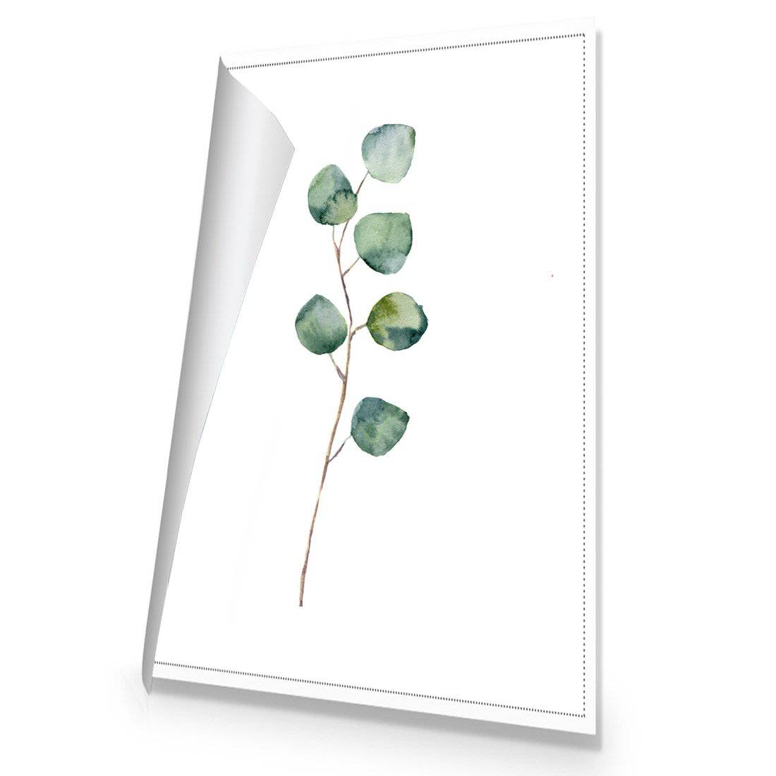 Fragrant Herb 3 Canvas Art