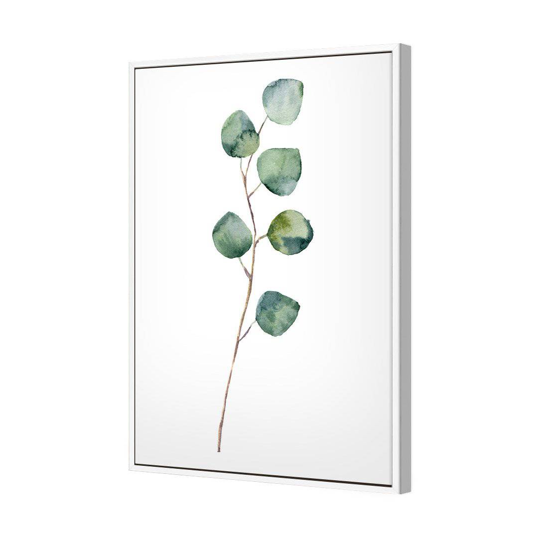 Fragrant Herb 3 Canvas Art