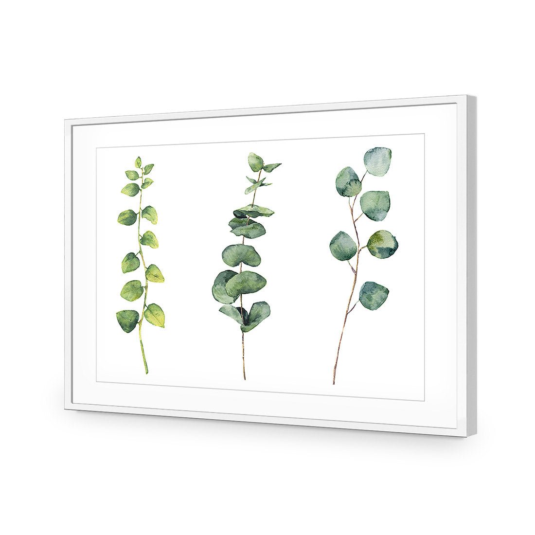 Fragrant Herb Trio