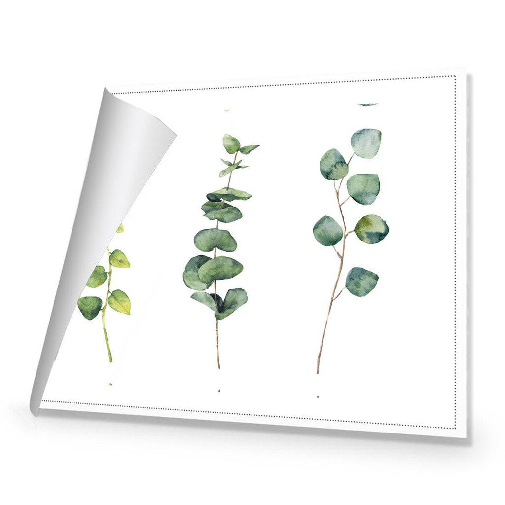 Fragrant Herb Trio