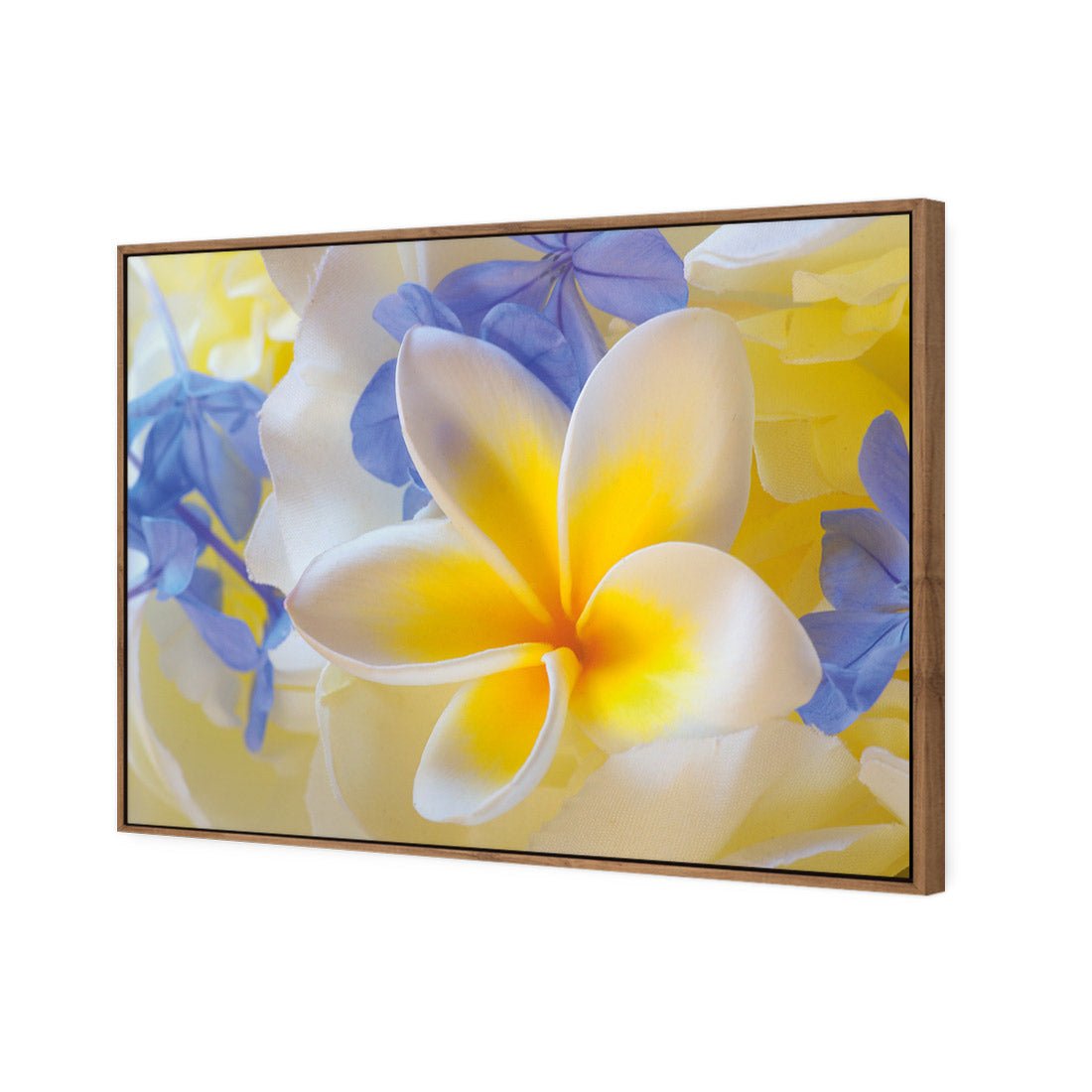 Frangipani and Cornflower