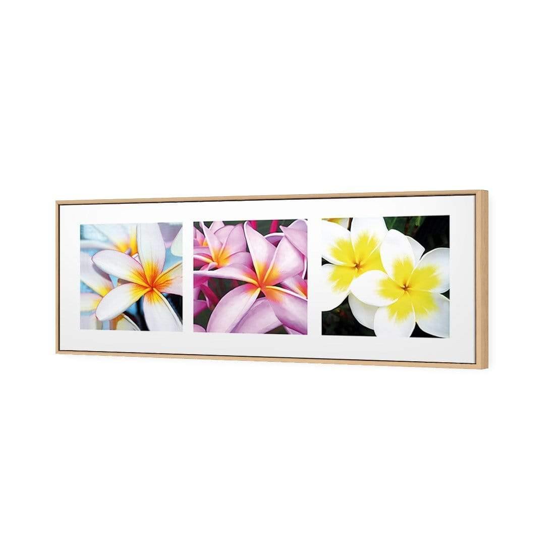 Frangipani Montage