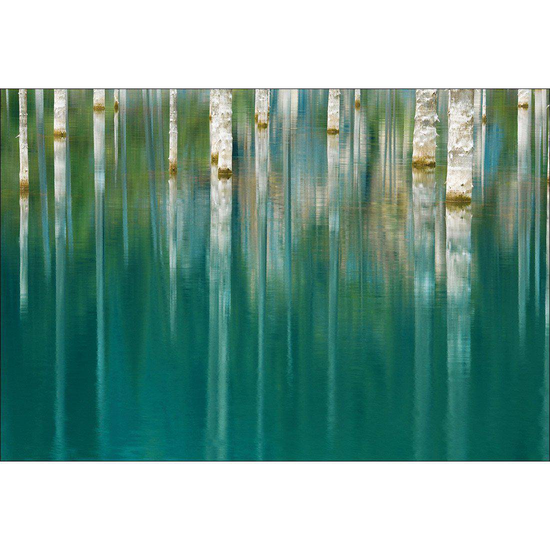 Ghostly Forest Reflections Canvas Art