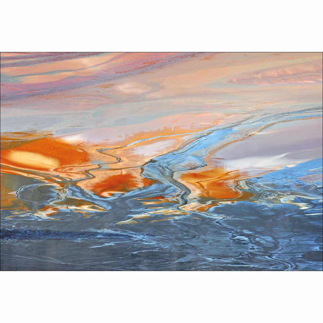 Golden Tint Canvas Art