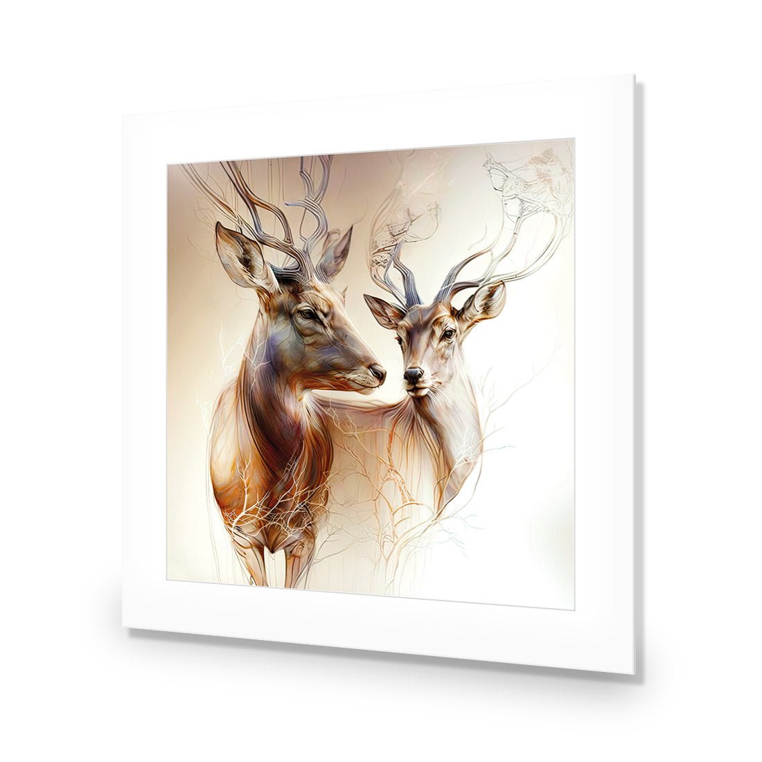 Grace of the Forest