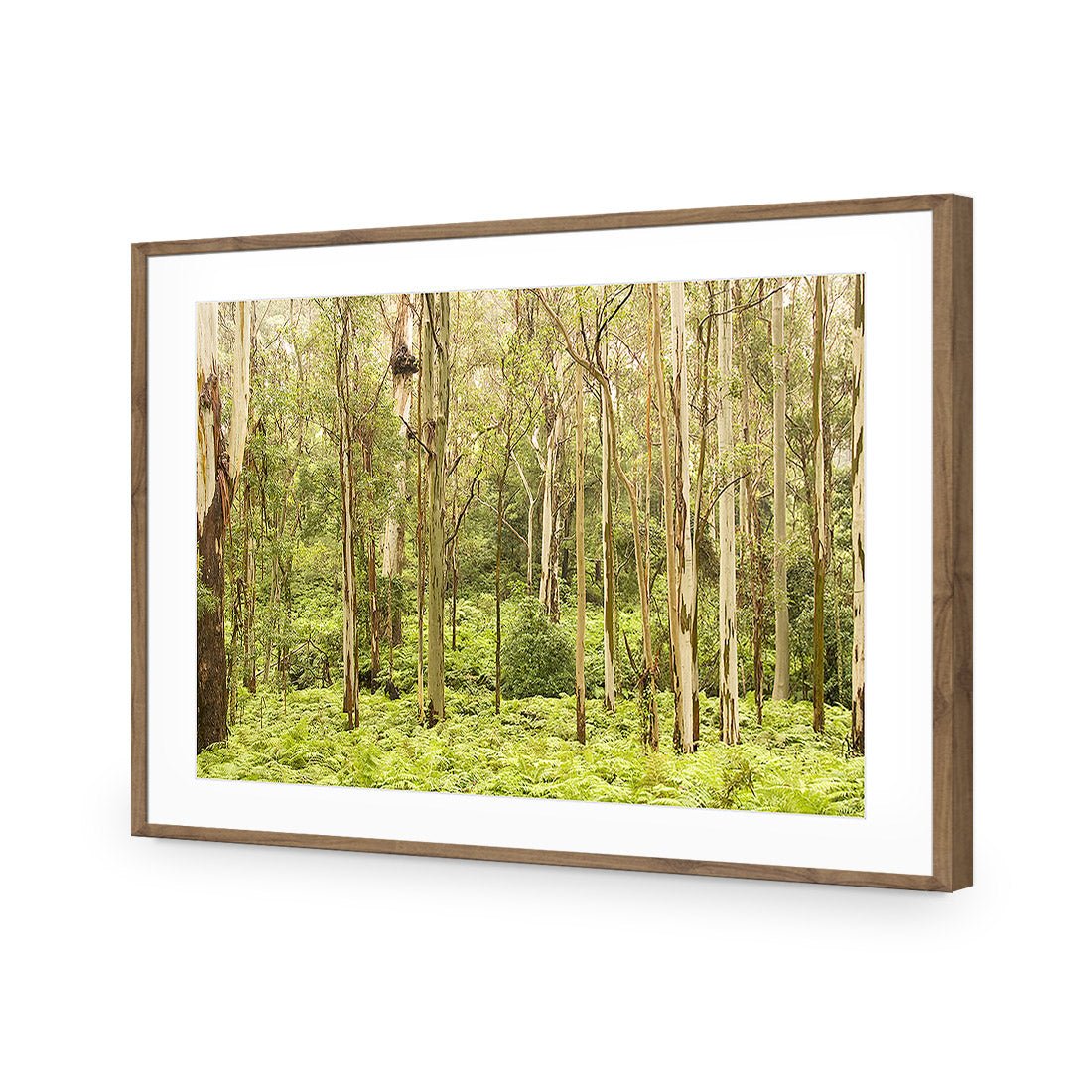 Gumtrees