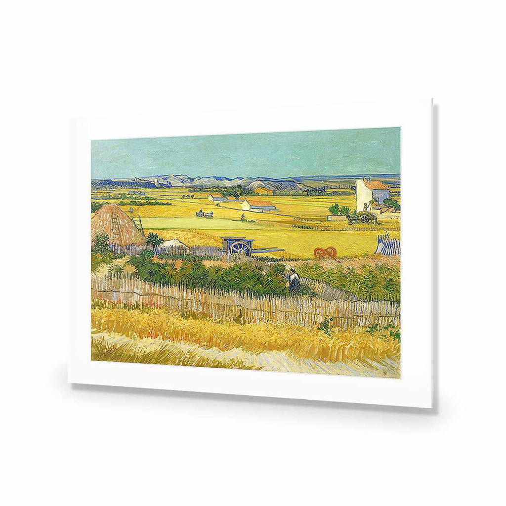 Harvest - Van Gogh Acrylic Print Art