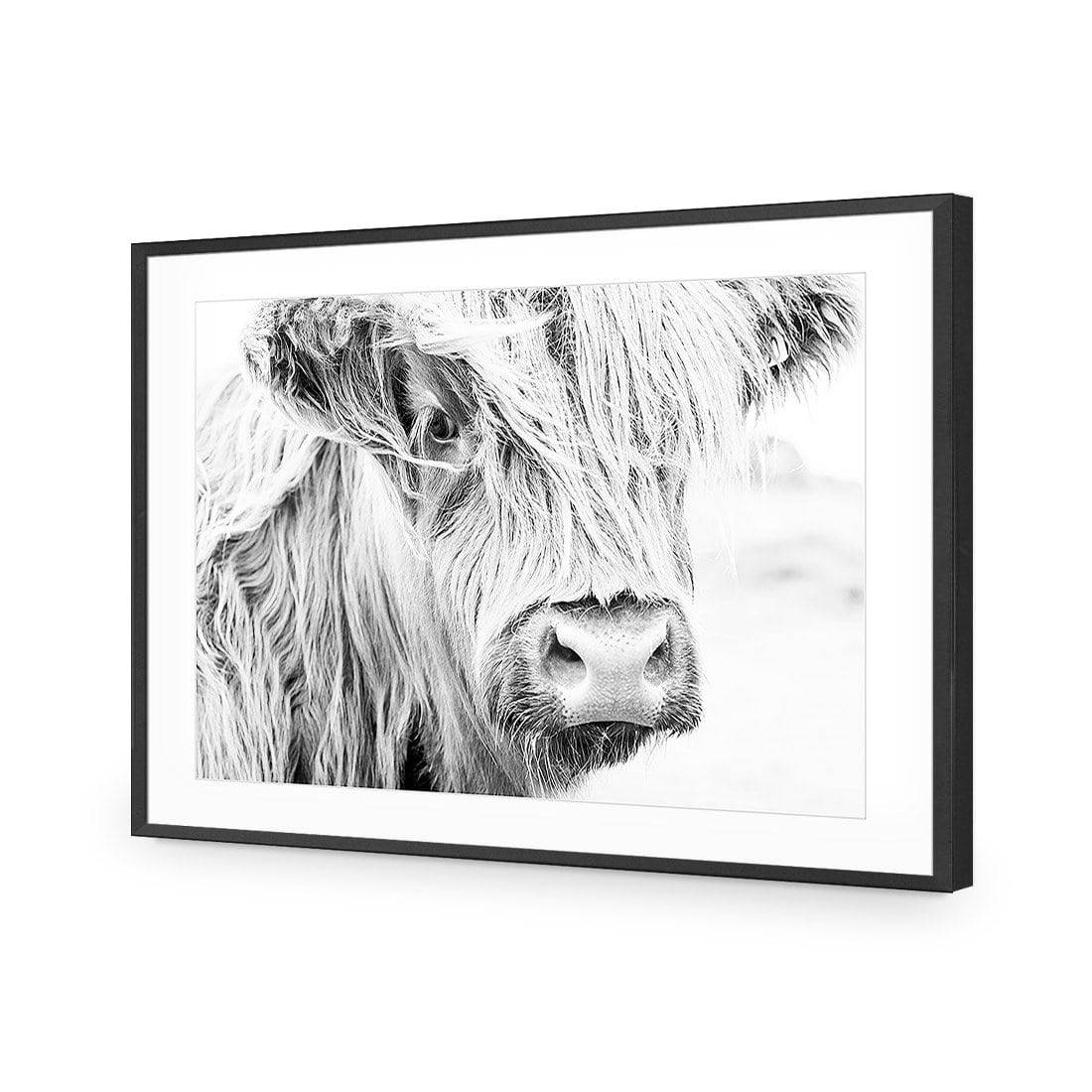 Henrietta the Highland Cow Acrylic Print Art
