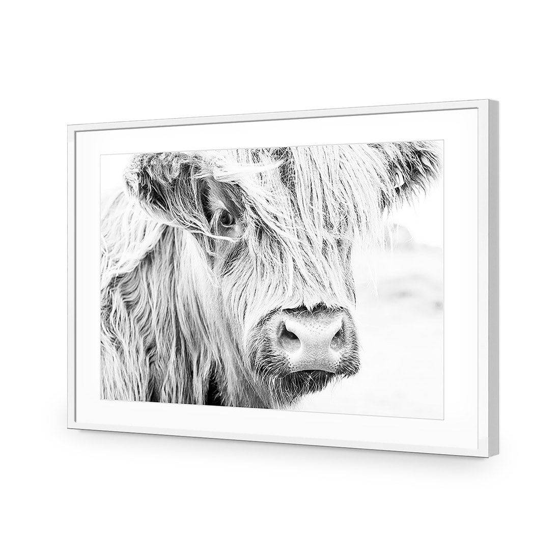 Henrietta the Highland Cow Acrylic Print Art