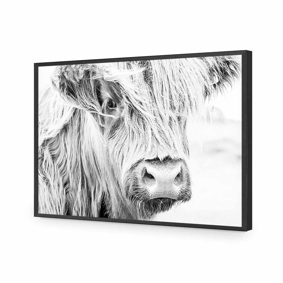Henrietta the Highland Cow Acrylic Print Art
