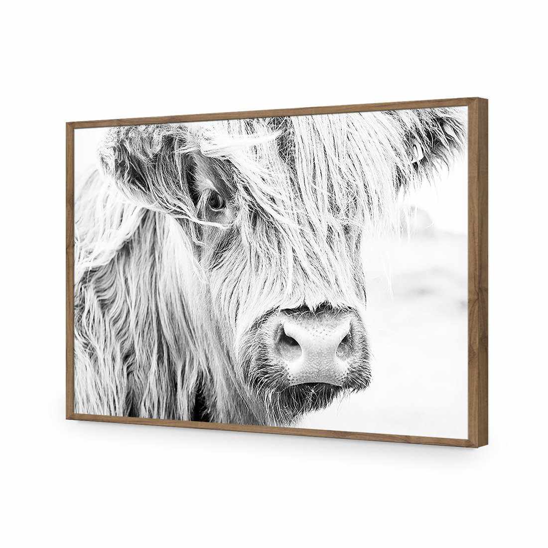 Henrietta the Highland Cow Acrylic Print Art