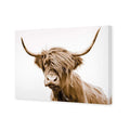 Highland Fringe