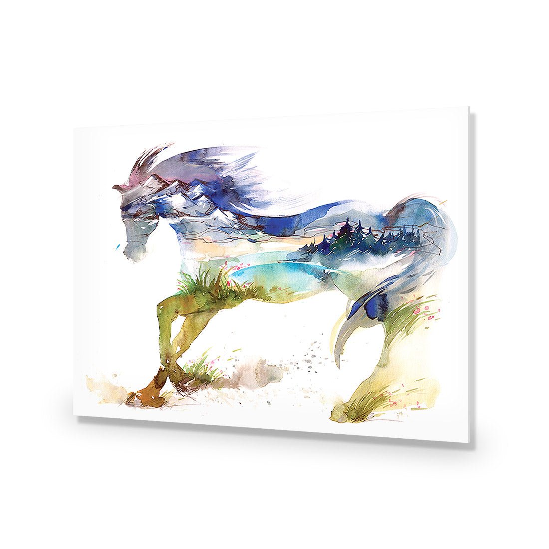 Horse Dreaming Acrylic Print Art