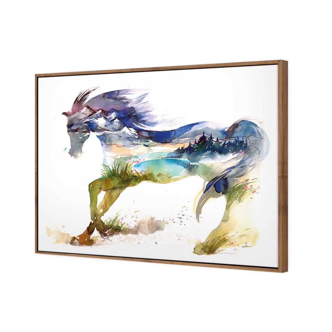 Horse Dreaming Canvas Art