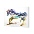 Horse Dreaming Canvas Art