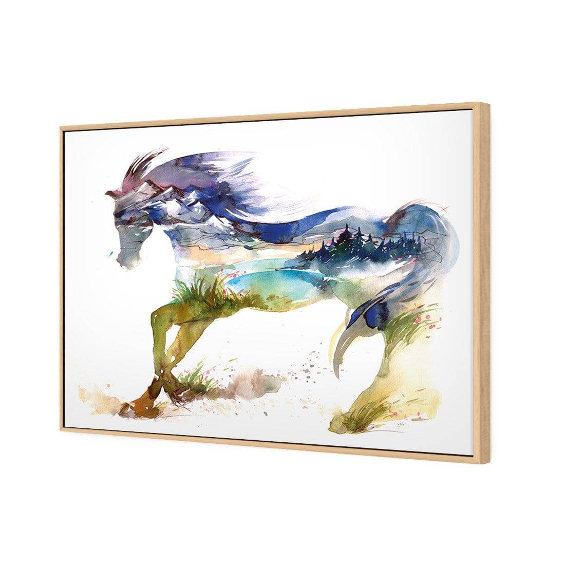 Horse Dreaming Canvas Art