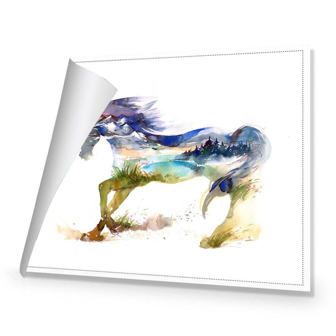 Horse Dreaming Canvas Art