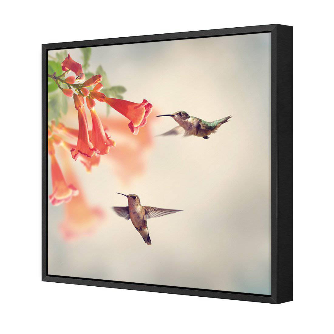 Hummingbird Hover Canvas Art