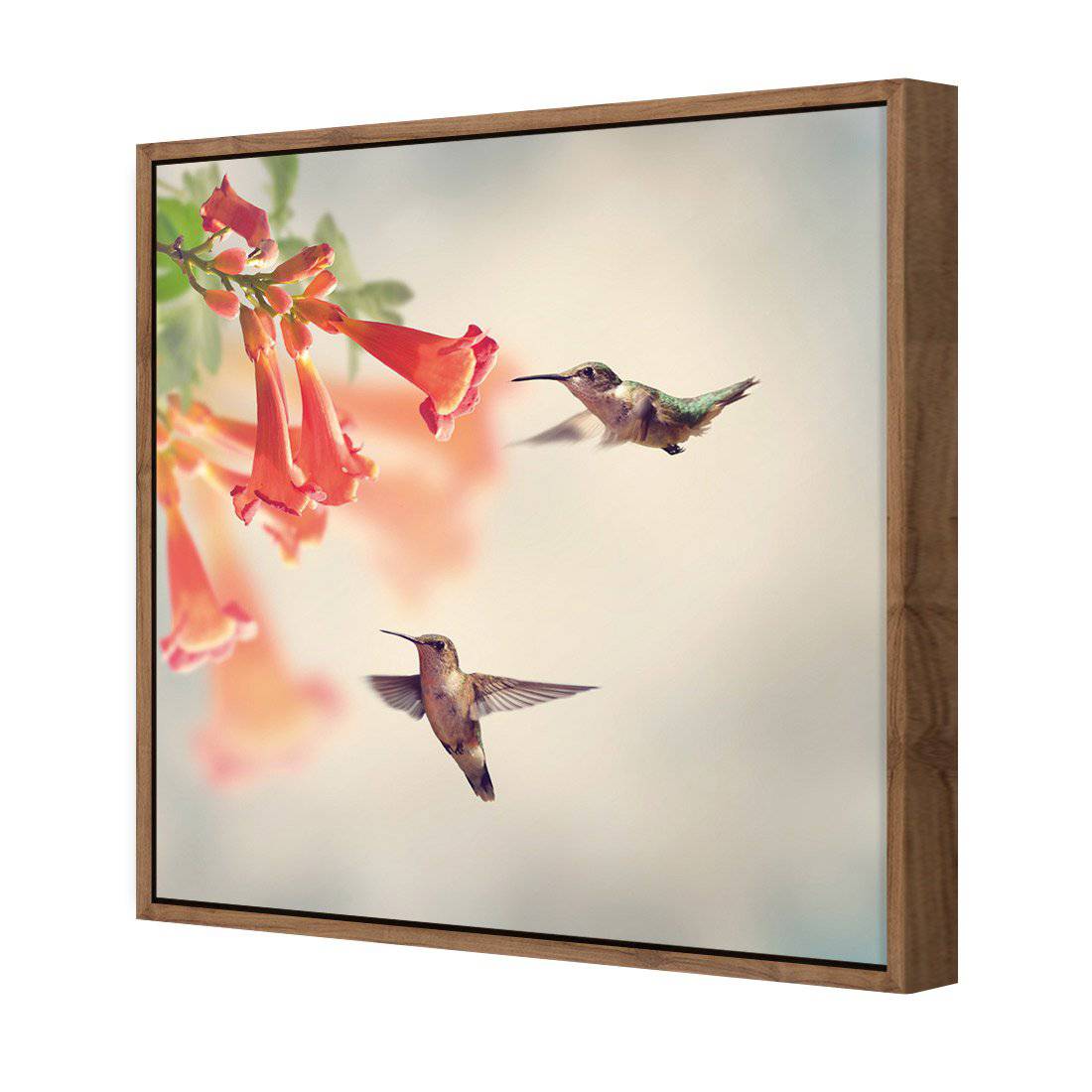 Hummingbird Hover Canvas Art