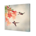 Hummingbird Hover Canvas Art