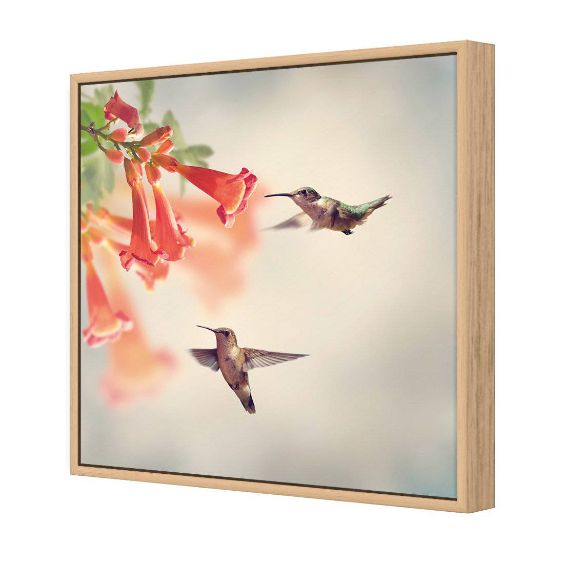 Hummingbird Hover Canvas Art