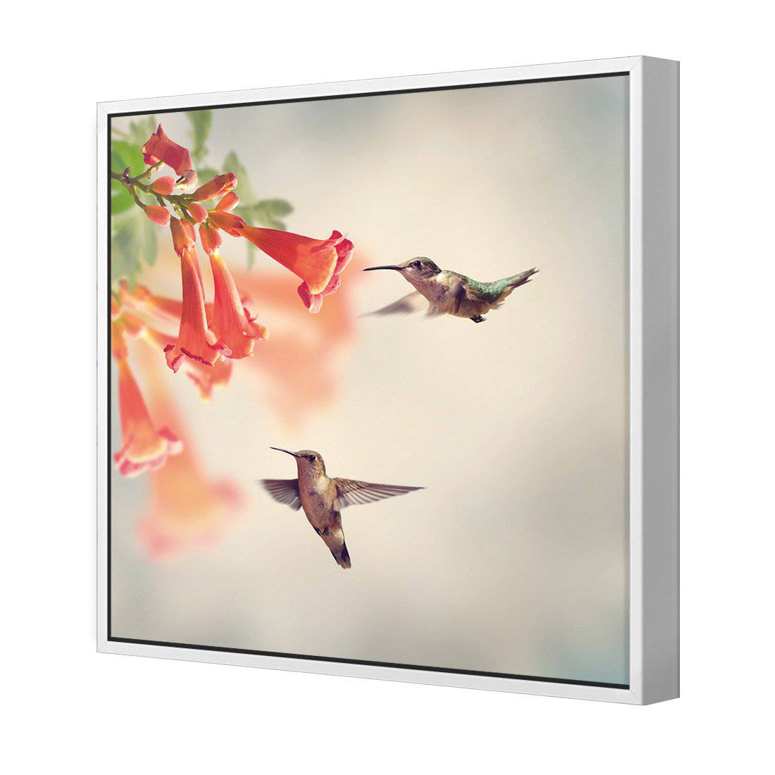Hummingbird Hover Canvas Art