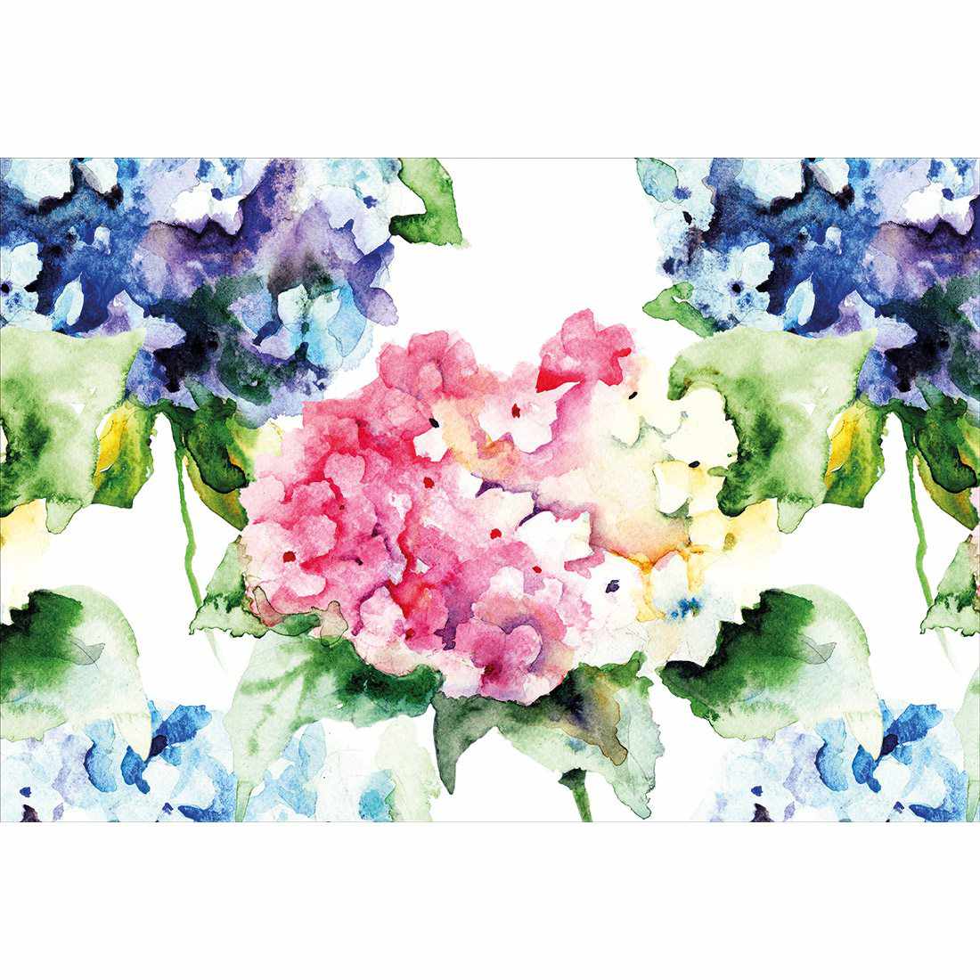 Hydrangeas Acrylic Print Art