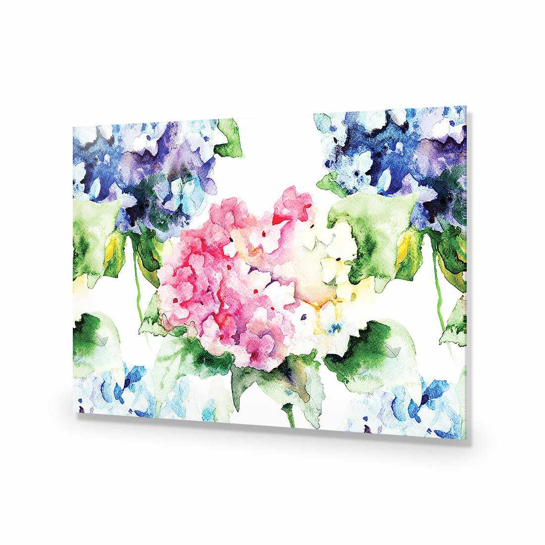 Hydrangeas Acrylic Print Art