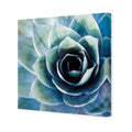 Intense Cactus Canvas Art