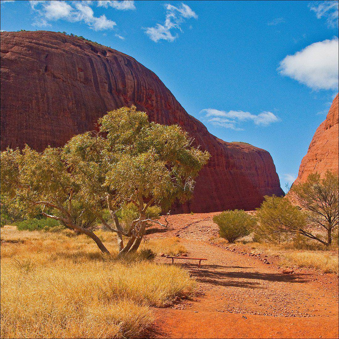 Into The Outback Canvas Art
