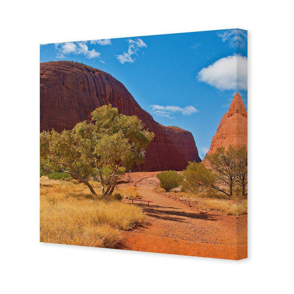 Into The Outback Canvas Art
