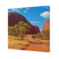 Into The Outback Canvas Art
