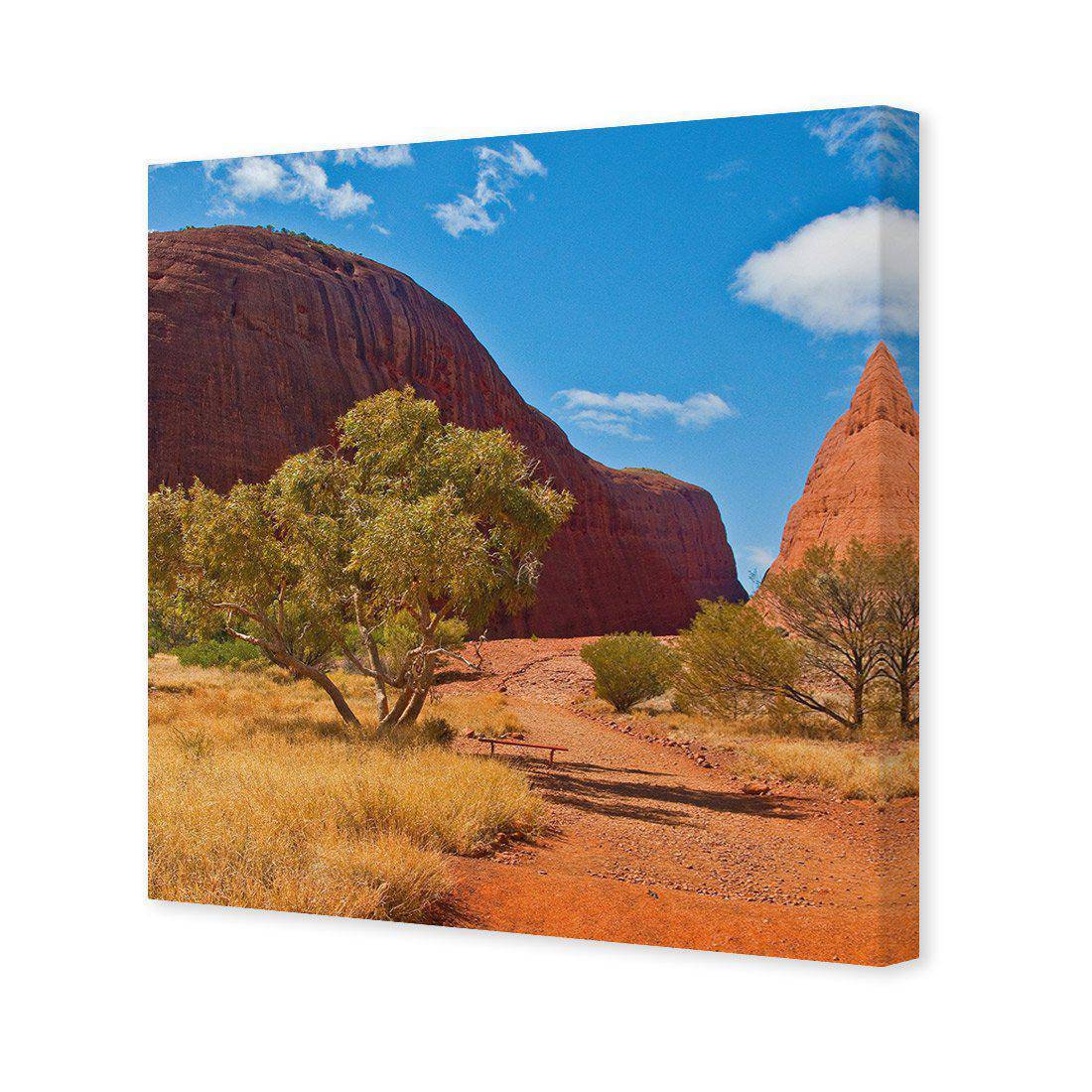 Into The Outback Canvas Art