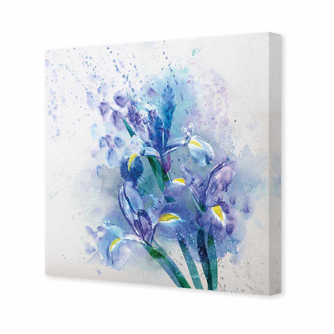 Iris Rain Canvas Art