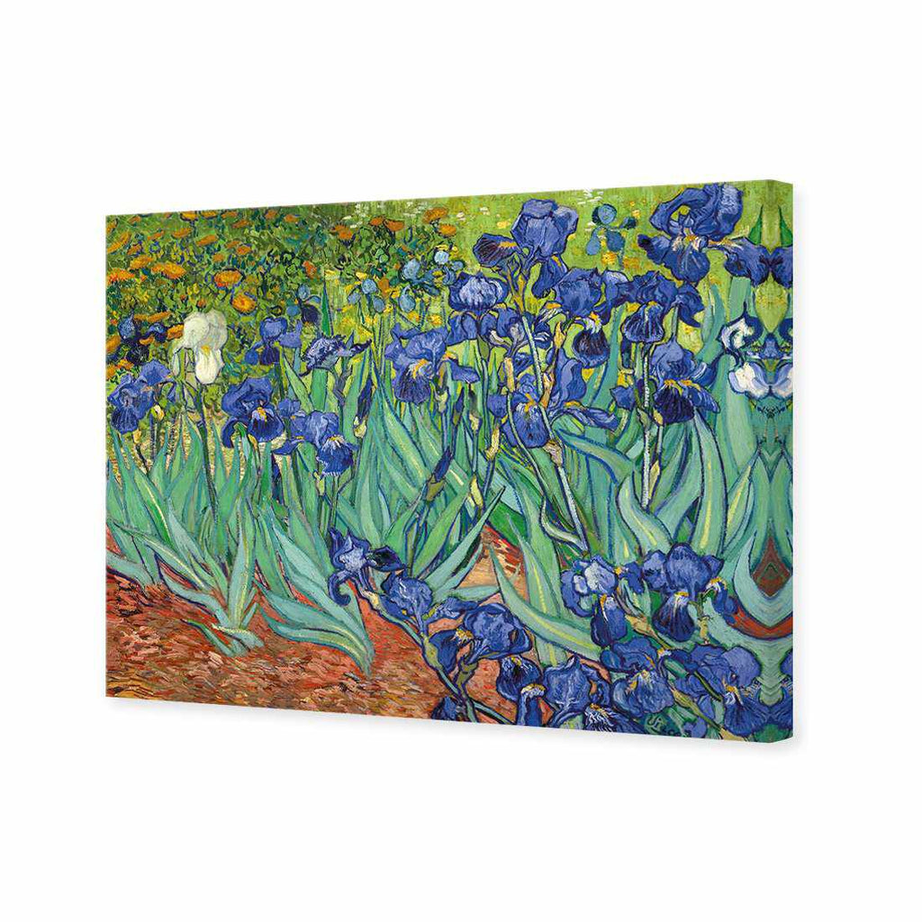 Irises 2 by Van Gogh Canvas Art