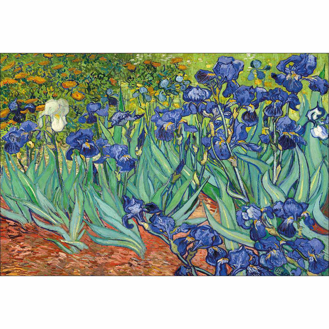 Irises 2 by Van Gogh Canvas Art