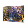 Jacaranda Alley Canvas Art
