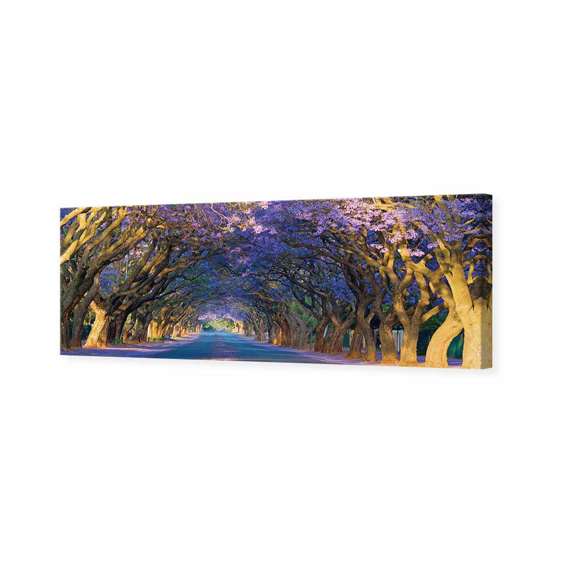 Jacaranda Alley, Long Canvas Art