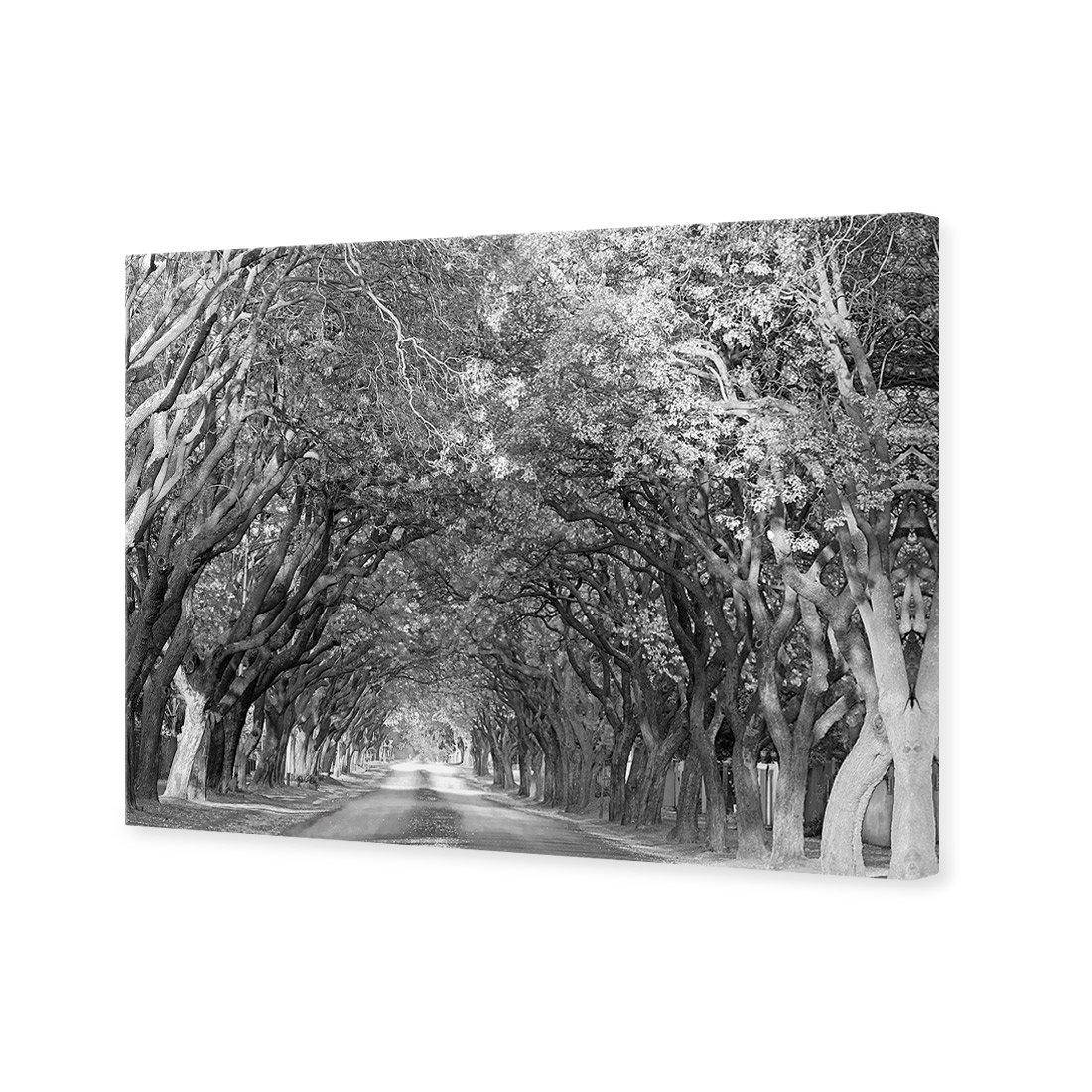 Jacaranda Alley, Rectangle B&W Canvas Art