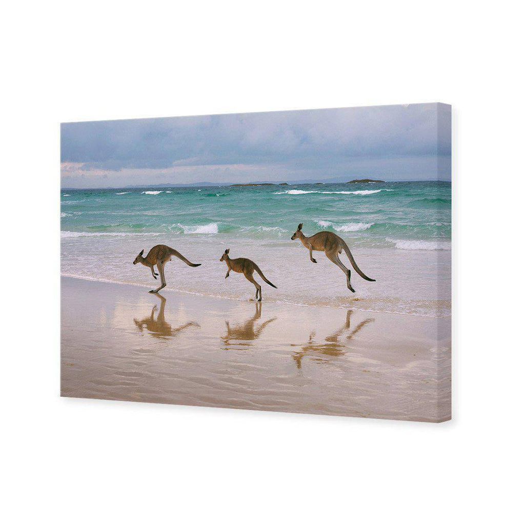 Kangaroos on Vacation Canvas Art
