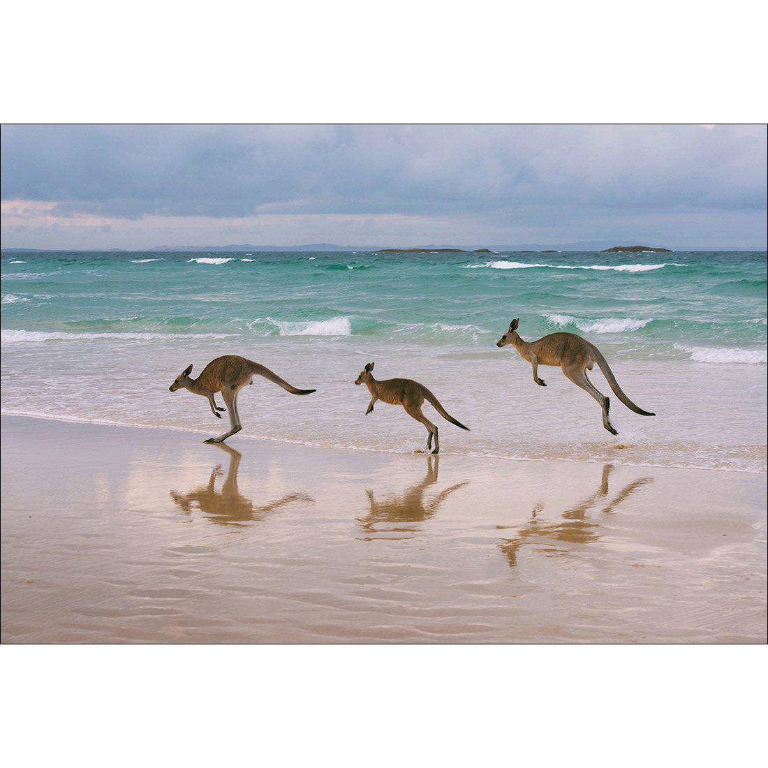 Kangaroos on Vacation Canvas Art
